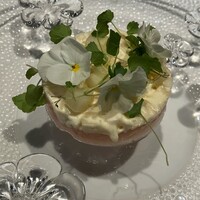 Élan - 