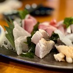 Kaisensumibisakabauoharu - 鮮魚盛合わせ