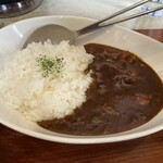 鶏 soba KAMOSHI - ミニカレー＠250円