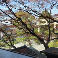 キメラ - 