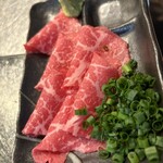 北新地焼肉さつま - 