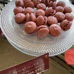 ロビー・ラウンジ - 