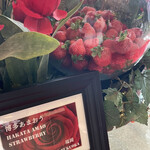 ロビー・ラウンジ - 