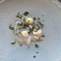 イリエスケープ - 