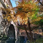 ブルーボトルコーヒー - 水道橋の斜め下から。木々の色付きがバラバラなのも良い感じでした。