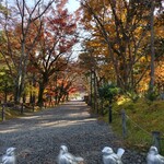 ブルーボトルコーヒー - ほとんど南禅寺近くから撮った写真です。色とりどりの木々があり、全部真っ赤だったりするよりもかえって良かったです。