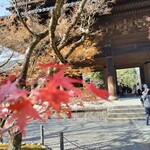 ブルーボトルコーヒー - 門をくぐったところから。まだ紅葉したモミジがとてもキレイでした。