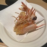 Oishii Sushi To Katsugyo Ryouri Sakananomamma - 