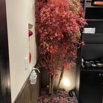 九州酒場 げん次 - 