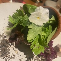 鉄板焼き 表参道 - 