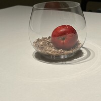 イル・チェントリーノ - 