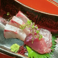 かなやま - ヒラマサ、カツオ