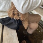 食彩工房 さわ - 