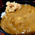 信濃追分蕎麦 初台庵 - "出汁"と"カエシ"の効いた、濃厚カレーは絶品。