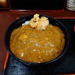 信濃追分蕎麦 初台庵 - カレー丼、510円 + 鳥から天 単品、120円。