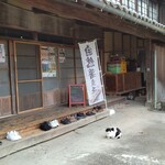 繭久里カフェ - 店の入り口は靴を脱いで上がりますが、飼い猫がお出迎えです。