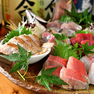 【毎日市場から直送！】こだわり抜いた旬の"鮮魚"が旨い店。