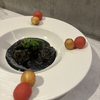 CINA New Modern Chinese - 