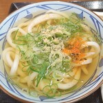 丸亀製麺 - かけうどん並