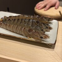 おすしのジョー - 