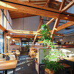 KNEADERS - 