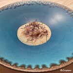 プチレストラン ブーケ・ド・フランス - くもこのポシェ ヴァンブランカプチーノソース