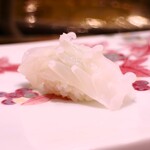 鮨 井上 - ヤリイカ