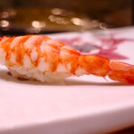 鮨 井上 - 車海老