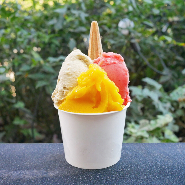 Antica Gelateria Tamagawa Ten photo 5