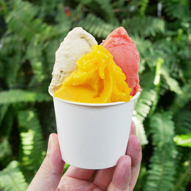 Antica Gelateria Tamagawa Ten photo 3