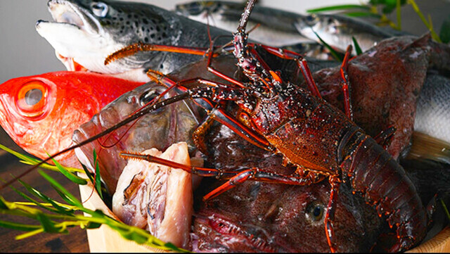 たちうお たちうおのご予約 - 人形町/食堂 | 食べログ