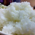 白龍ラーメン - 普通盛りのライスですよー