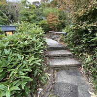 洋食 つばき - 