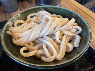 肉汁うどんの南哲 - 麺並盛アップ