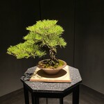 #肉といえば松田 - 