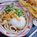 Marugame Seimen - 