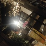 京町恋しぐれ 新宿 - 夜桜が見えるような席は良かったです