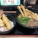 資さんうどん - 肉ごぼう天うどん・ミニ天丼