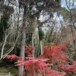 ROKU KYOTO LXR Hotels&Resorts - 