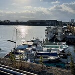 伊吹いりこセンター - 目の前は港。