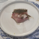 クッチーナ イタリアーナ ガッルーラ - 