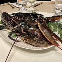 スガラボヴィー - 