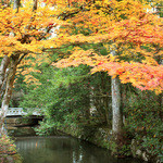 wafuura-memmiyama - 御廟橋と玉川。奥の院裏の霊峰楊柳山より流れ出る清水だそう【'13.11月】