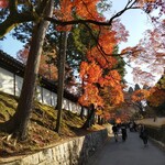 Hanaアイス - 東福寺界隈も、とてもキレイに色付いてました。