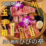 Sumibiyakiniku Hibinotei - 