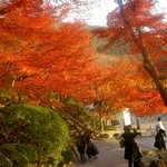 トゥレ・ドゥー - 