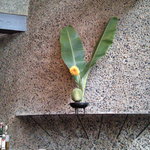 Cafe倫敦館 - さりげなく飾られたここの「お花」はちょっと見ものです