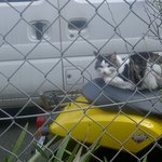 トゥレ・ドゥー - 