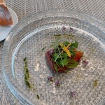 シンクロニア ディ シンジ ハラダ - 