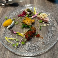 ダルマット 六本木ヒルズ店 - 